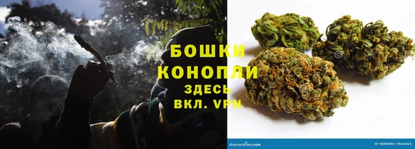 дурь Пересвет