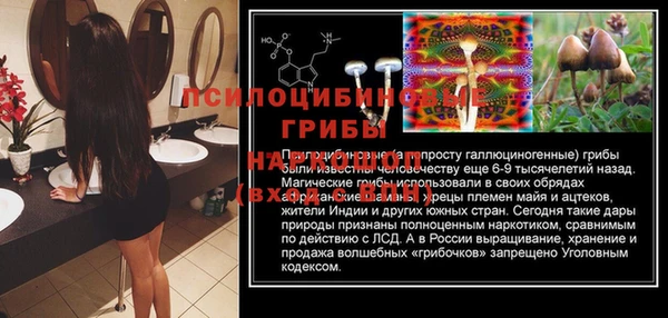 дурь Пересвет