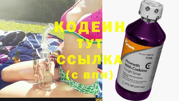 дурь Пересвет