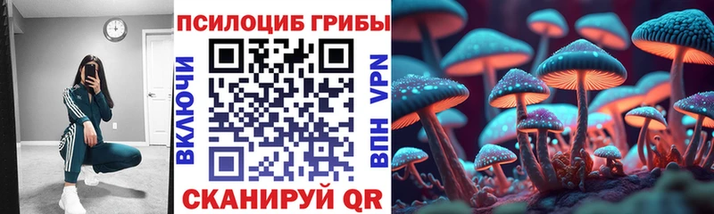 Псилоцибиновые грибы Magic Shrooms  Купить  Рославль 